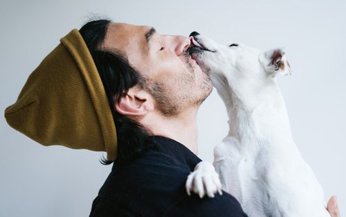 dark haired young man in a mustard colored beanie holding a Jack Russel terrier who is licking his face - pets